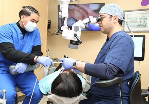 Dr. Savlin Nicolic